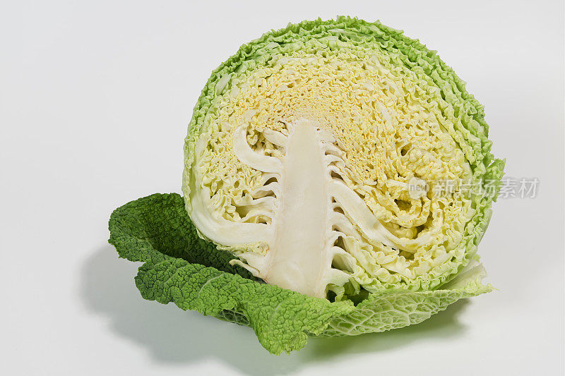 甘蓝(Brassica oleracea)图片大小XXXLarge